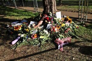 londres au royaume-uni en septembre 2022. hommages floraux à la reine dans le parc verdoyant de londres photo