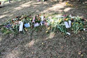 londres au royaume-uni en septembre 2022. hommages floraux à la reine dans le parc verdoyant de londres photo