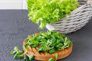 valériane locusta, salade de maïs, mâche. feuilles de salade de maïs vert frais sur un bureau en bois