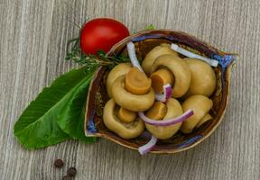 Champignon mariné dans un bol sur fond de bois photo