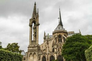 vue sur notre dame photo