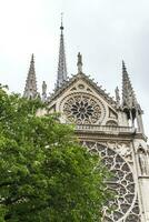 vue sur notre dame photo