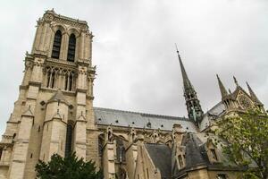 vue sur notre dame photo