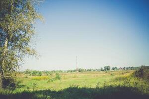 paysage rural d'été filtré photo