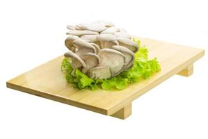 champignon frais sur planche de bois et fond blanc photo