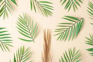 fond tropical avec feuille de palmier sur beige pastel. mise à plat, espace de copie photo