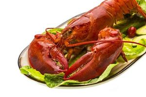 gros homard sur blanc photo