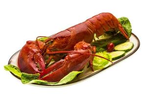 gros homard sur blanc photo