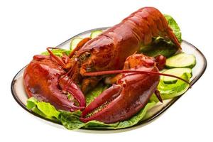 gros homard sur blanc photo