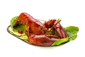 gros homard sur blanc photo