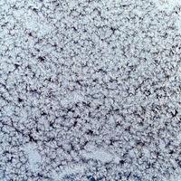 flocons de neige et givre sur les vitres gelées photo