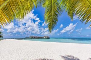 fantastique plage des maldives, littoral avec palmiers, sable blanc et villas sur l'eau. destination estivale de luxe pittoresque, paysage de voyage. belle plage de nature balnéaire exotique. superbes vacances en station balnéaire photo