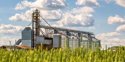 Élévateur à greniers agro-silos sur une usine de fabrication agro-industrielle pour le traitement, le nettoyage à sec et le stockage de produits agricoles, de farine, de céréales et de grains. photo