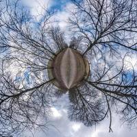 transformation de la petite planète hivernale du panorama sphérique à 360 degrés. vue aérienne abstraite sphérique en forêt avec des branches maladroites. courbure de l'espace. photo