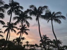 paysages incroyables d'aruba vues sur l'île d'aruba photo