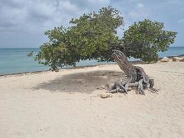 paysages incroyables d'aruba vues sur l'île d'aruba photo