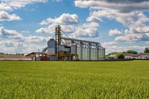 élévateur à greniers agro-silos avec ligne de nettoyage des graines sur une usine de fabrication agro-industrielle pour le traitement, le séchage, le nettoyage et le stockage des produits agricoles dans le seigle ou le champ de blé photo