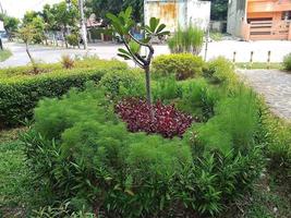 voir un parc dans un lotissement à banten photo