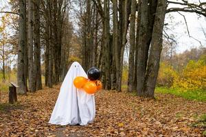 un enfant dans des draps avec une découpe pour les yeux comme un costume de fantôme dans une forêt d'automne fait peur et terrifie. un gentil petit fantôme rigolo. Fête d'Halloween photo