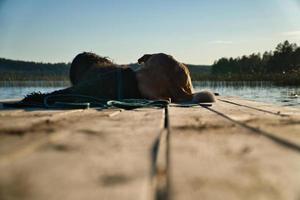 amoureux des chiens allongé sur une jetée et regardant le lac en suède. goldendoodle et mélanger photo