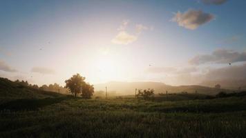 vaste prairie le soleil quitte l'horizon rendu 3d photo