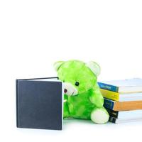 ours en peluche vert et un livre photo