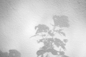 Arbre naturel abstrait feuilles ombre sur fond de mur blanc photo