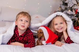 deux enfants un garçon et une fille sont allongés dans le lit avec leur animal de compagnie bien-aimé pour noël. photo de haute qualité