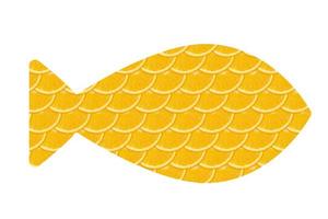 forme de poisson orange en tranches, fond blanc isolé photo