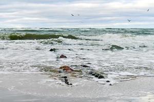 vue sur la mer bleue avec des vagues écumantes et des brise-lames en bois photo