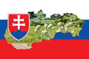 carte muette de la slovaquie avec l'image du drapeau national. image d'un épi de pavot à l'intérieur de la carte. collage. la slovaquie est un important producteur de pavot. photo