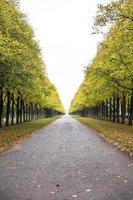 détail de la ruelle d'automne photo