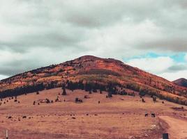 montagnes en automne photo