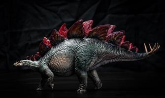 dinosaure, stégosaure dans le noir photo