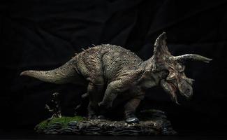 dinosaure, tricératops dans le noir photo