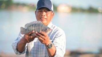 les pisciculteurs de la ferme de tilapia attrapent de gros tilapias vivants pour les exporter vers le marché aux poissons. tilapia frais. photo