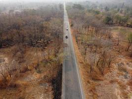 forêt jaune aride, la route dans la forêt était remplie d'arbres noircis par les incendies de forêt. photo