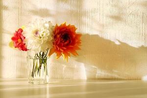 vase en verre avec pivoines blanches, orange, rouges et jaunes sur la table blanche sous une lumière ensoleillée. photo