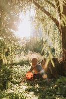 charmant petit garçon mignon avec un panier de citrouille pour les bonbons est assis sous un saule au coucher du soleil. fabuleuse belle forêt magique. notion d'Halloween. l'enfant joue à l'extérieur. espace pour le texte photo