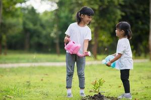 frère asiatique arrosant un jeune arbre le jour de l'été photo