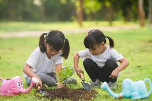 frère asiatique plantant un jeune arbre sur un sol noir ensemble pour sauver le monde dans le jardin le jour d'été. planter un arbre. concept d'enfance et de loisirs de plein air. photo