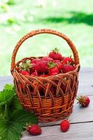 fraises fraîches dans un panier sur une table dans le jardin photo