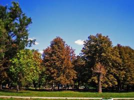 parc du jubilé dans la ville volnyansk, ukraine photo