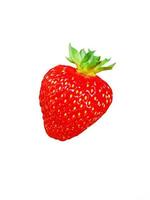 fraise sur fond blanc photo