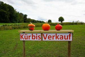 Vente de citrouilles en Allemagne photo