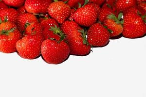 belles fraises rouges fraîches sur fond blanc photo