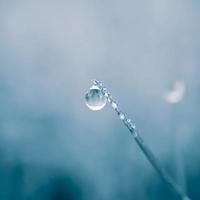 goutte d'eau sur la feuille d'herbe les jours de pluie en automne, fond bleu photo