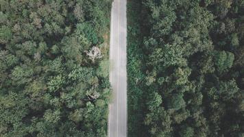 vue aérienne d'une autoroute à travers une forêt au coucher du soleil photo