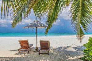 belle bannière de plage tropicale. sable blanc et cocotiers voyagent tourisme large concept d'arrière-plan panoramique. paysage de plage incroyable. augmenter le processus de couleur. vacances ou vacances sur une île de luxe photo