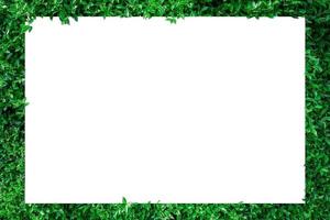 papier avec bordure de feuille verte photo